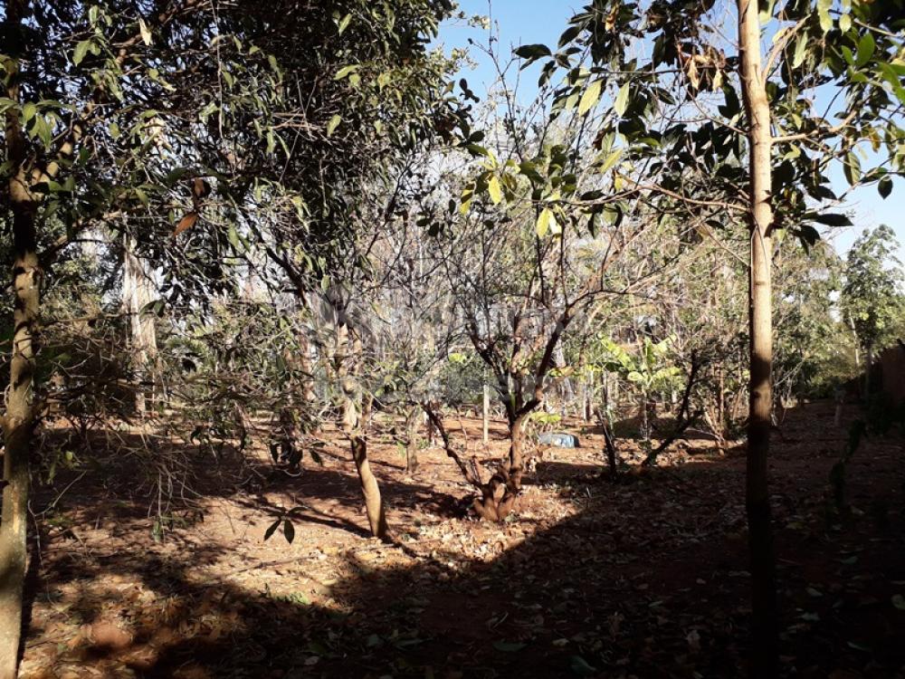 Chácara à venda com 3 quartos, 226m² - Foto 18