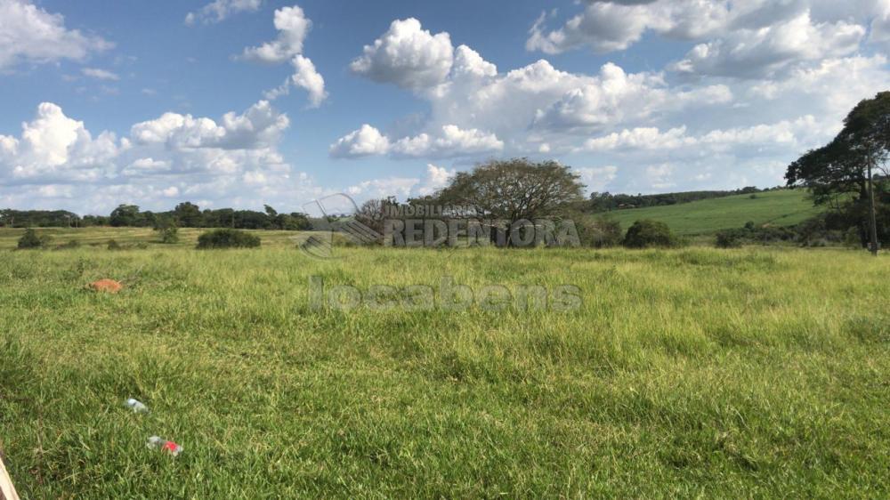 Comprar Rural / Sítio em São José do Rio Preto R$ 7.000.000,00 - Foto 4