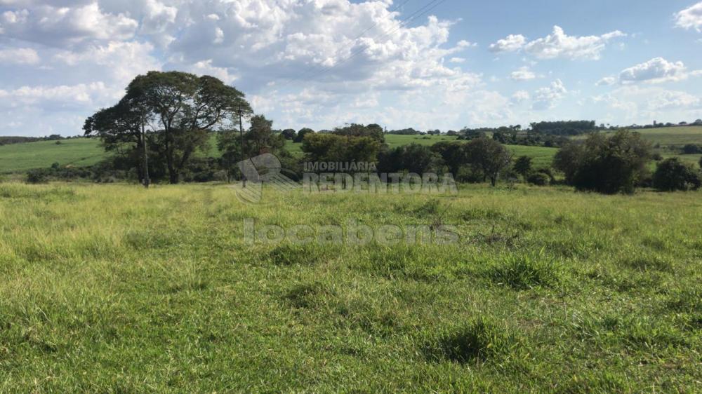 Comprar Rural / Sítio em São José do Rio Preto R$ 7.000.000,00 - Foto 5