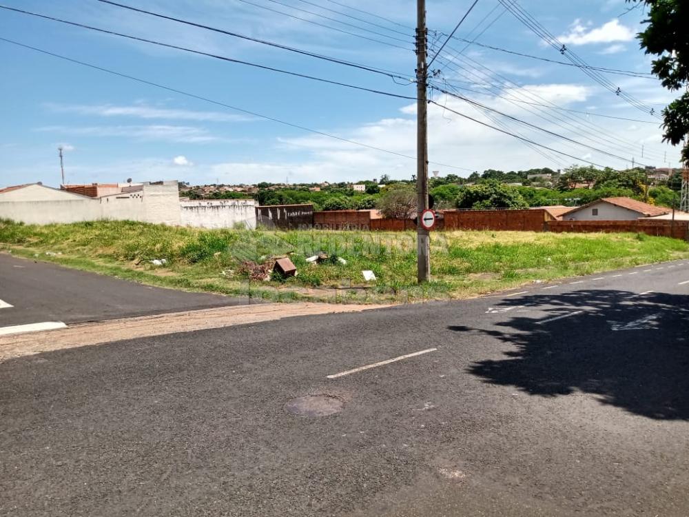 Comprar Terreno / Área em São José do Rio Preto R$ 1.200.000,00 - Foto 4