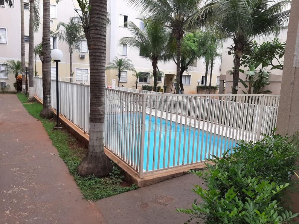 Comprar Apartamento / Padrão em São José do Rio Preto R$ 240.000,00 - Foto 14