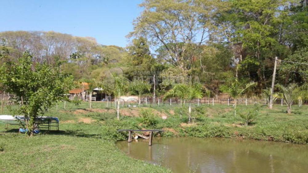 Comprar Terreno / Área em Mirassol apenas R$ 1.200.000,00 - Foto 2