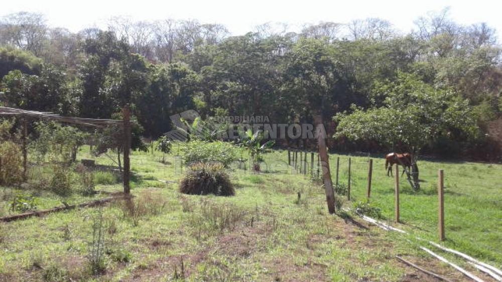Comprar Terreno / Área em Mirassol R$ 1.200.000,00 - Foto 13