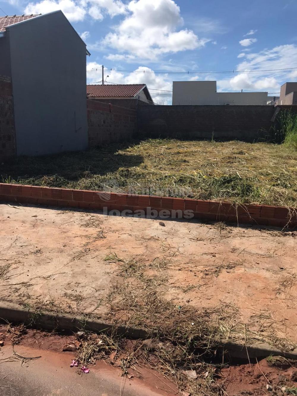 Comprar Terreno / Padrão em São José do Rio Preto R$ 135.000,00 - Foto 3