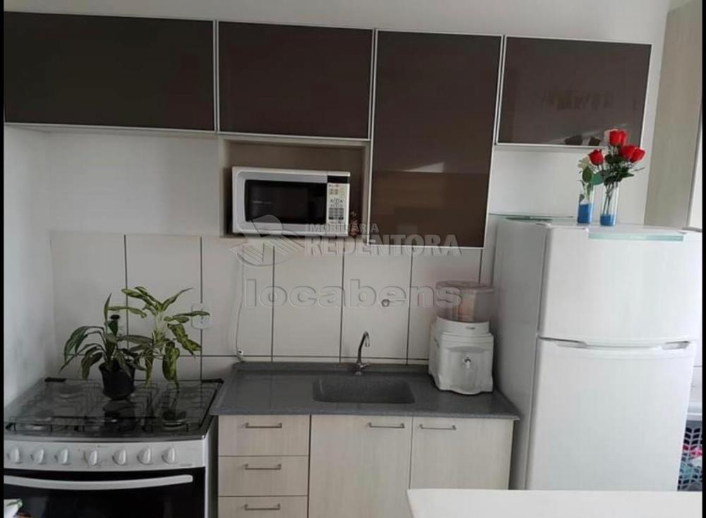 Alugar Apartamento / Padrão em São José do Rio Preto apenas R$ 800,00 - Foto 4