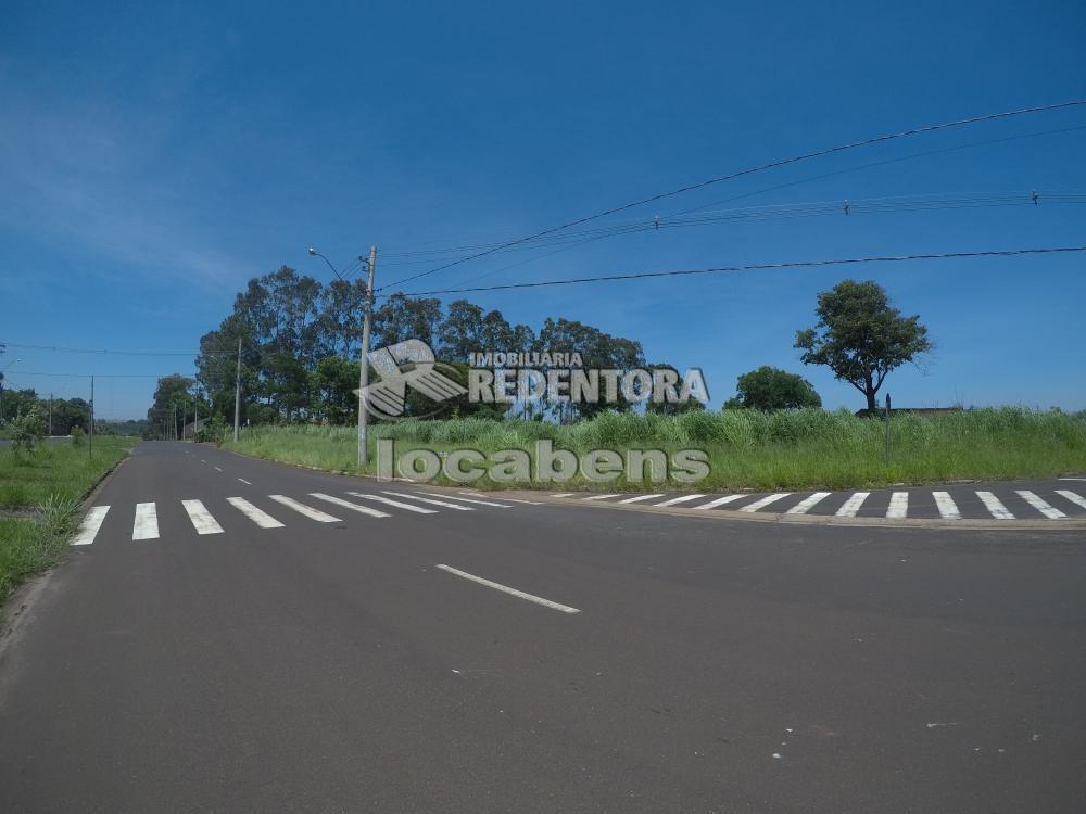 Comprar Terreno / Padrão em São José do Rio Preto R$ 115.000,00 - Foto 3