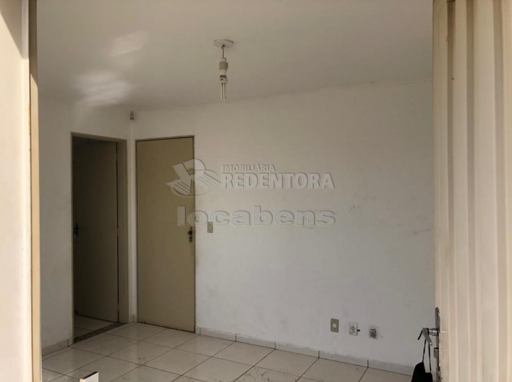 Comprar Comercial / Salão em Bady Bassitt apenas R$ 3.000.000,00 - Foto 13