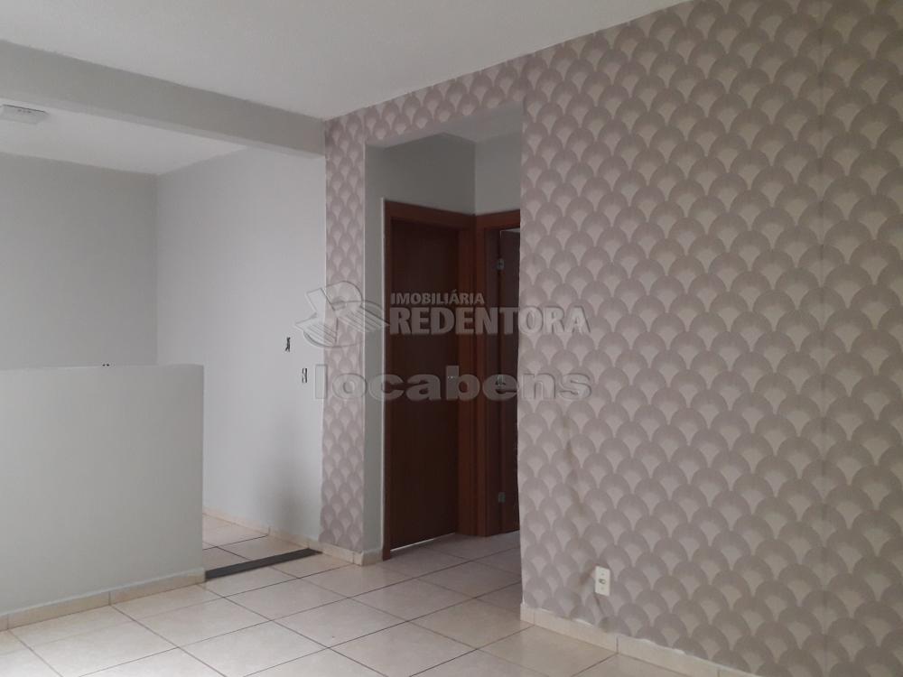 Alugar Apartamento / Padrão em São José do Rio Preto apenas R$ 800,00 - Foto 3