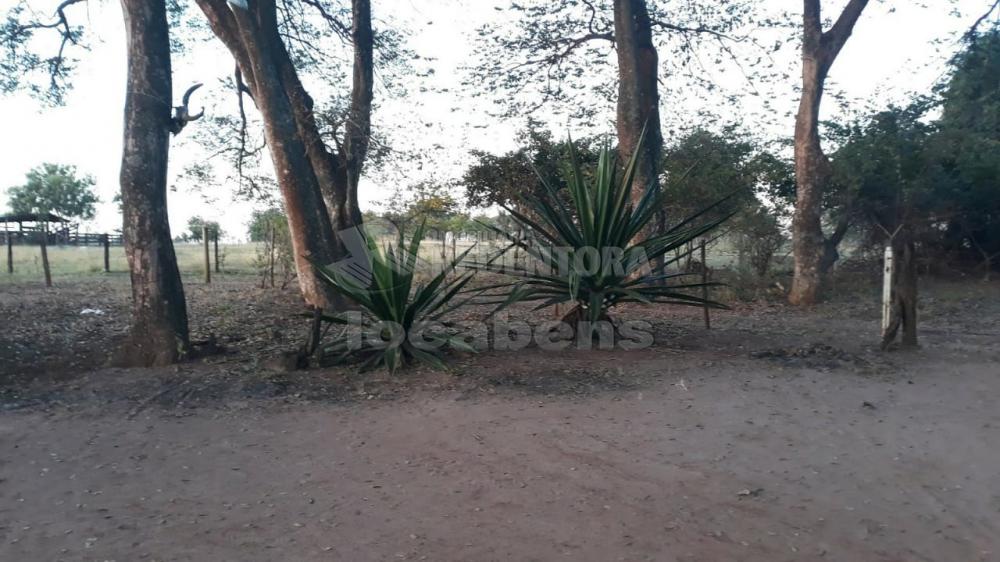 Comprar Rural / Sítio em São José do Rio Preto R$ 900.000,00 - Foto 6