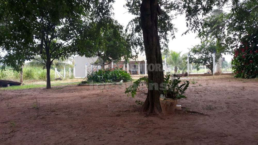 Comprar Rural / Sítio em São José do Rio Preto R$ 900.000,00 - Foto 9