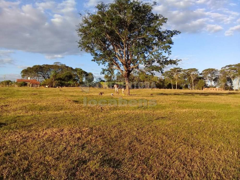 Comprar Rural / Sítio em São José do Rio Preto R$ 900.000,00 - Foto 22