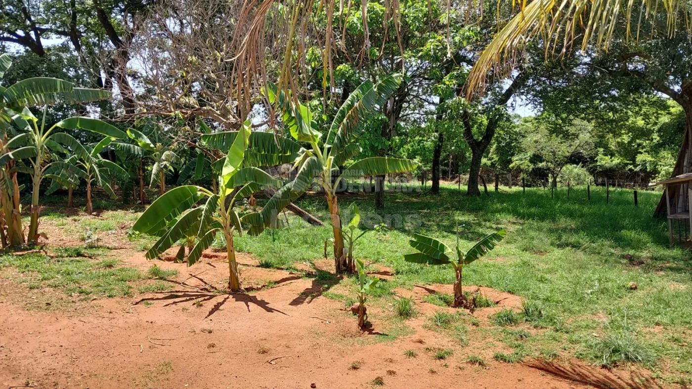 Comprar Rural / Sítio em São José do Rio Preto R$ 900.000,00 - Foto 29