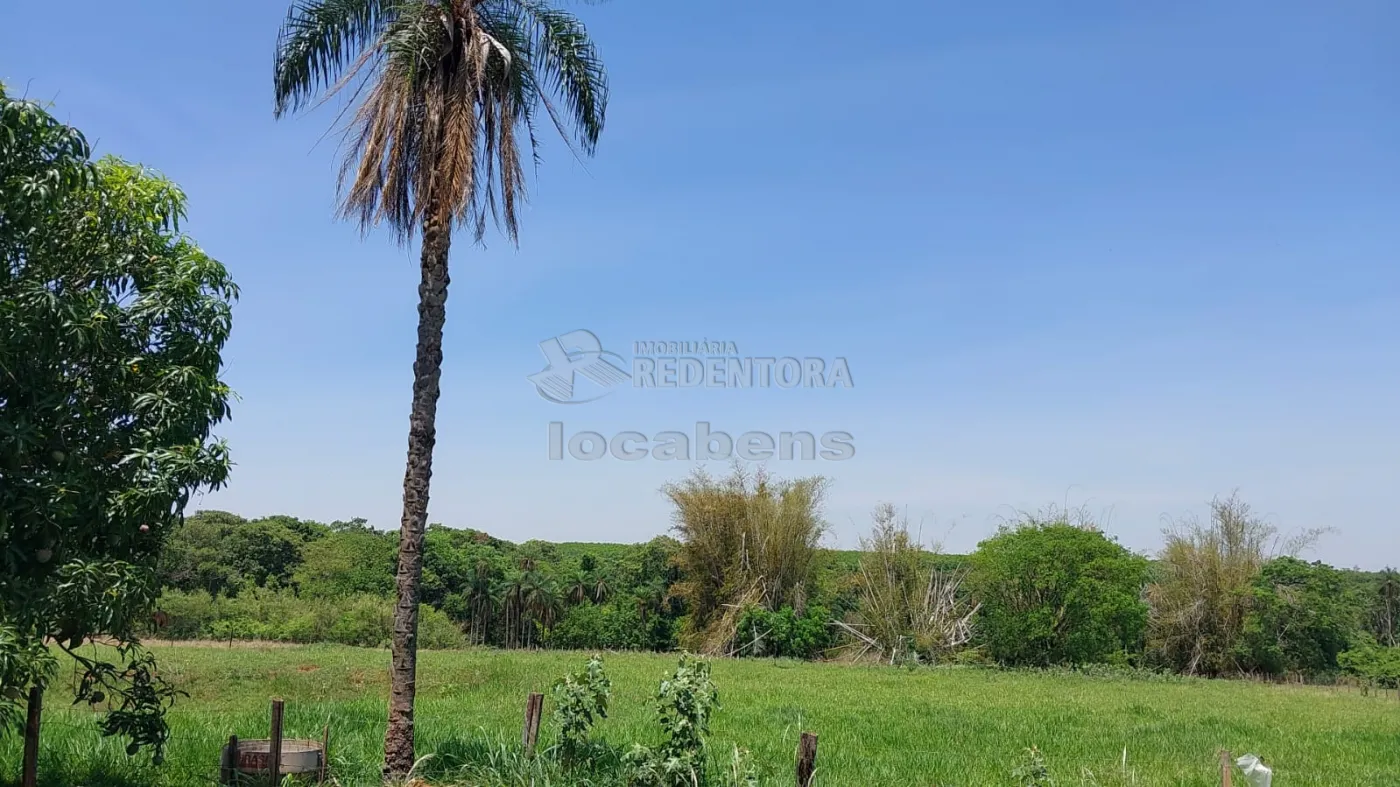 Comprar Rural / Sítio em São José do Rio Preto R$ 900.000,00 - Foto 30