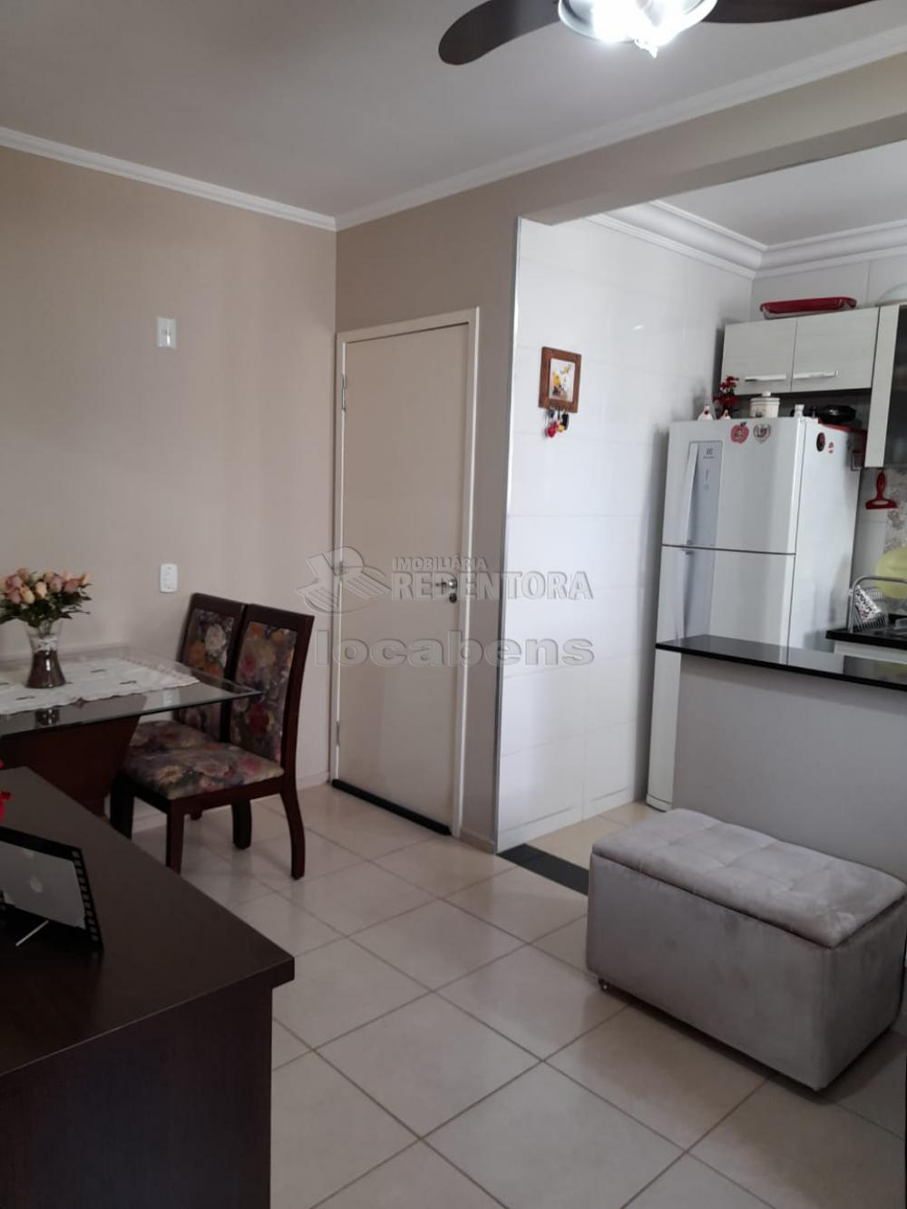 Alugar Apartamento / Padrão em São José do Rio Preto R$ 800,00 - Foto 1