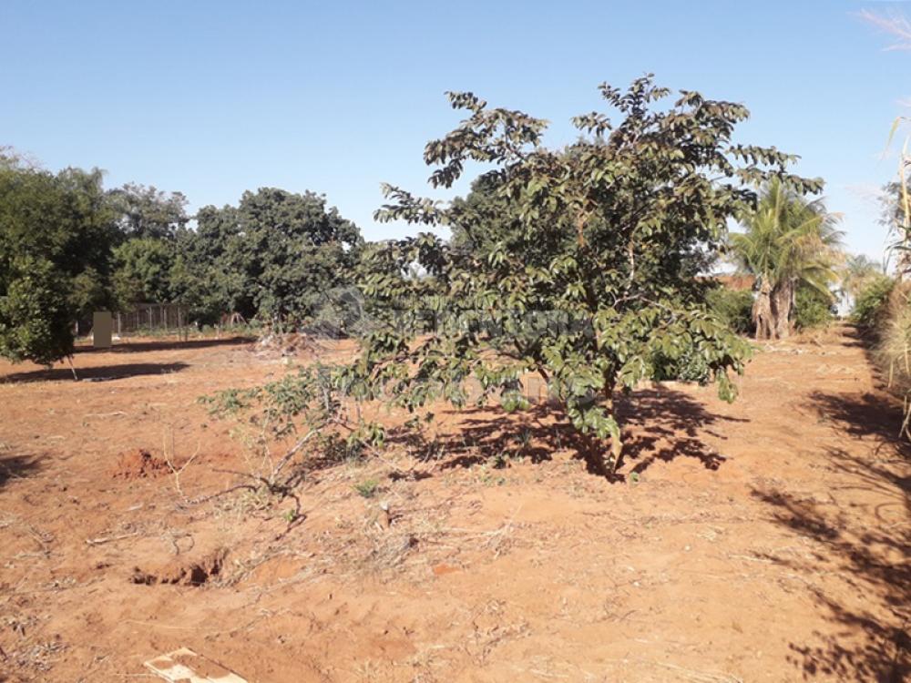 Comprar Rural / Chácara em São José do Rio Preto R$ 600.000,00 - Foto 13