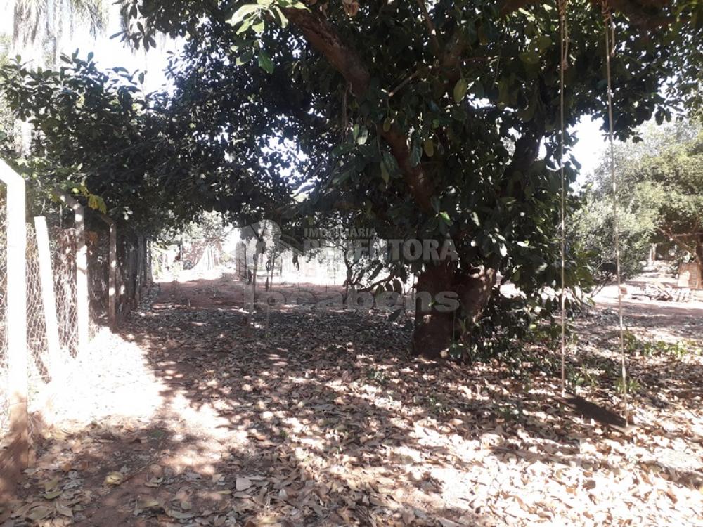 Comprar Rural / Chácara em São José do Rio Preto R$ 600.000,00 - Foto 14