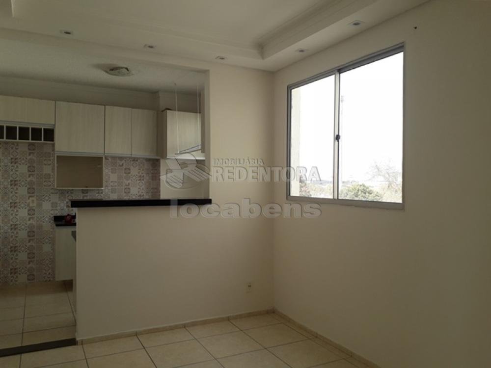 Alugar Apartamento / Padrão em São José do Rio Preto R$ 850,00 - Foto 3