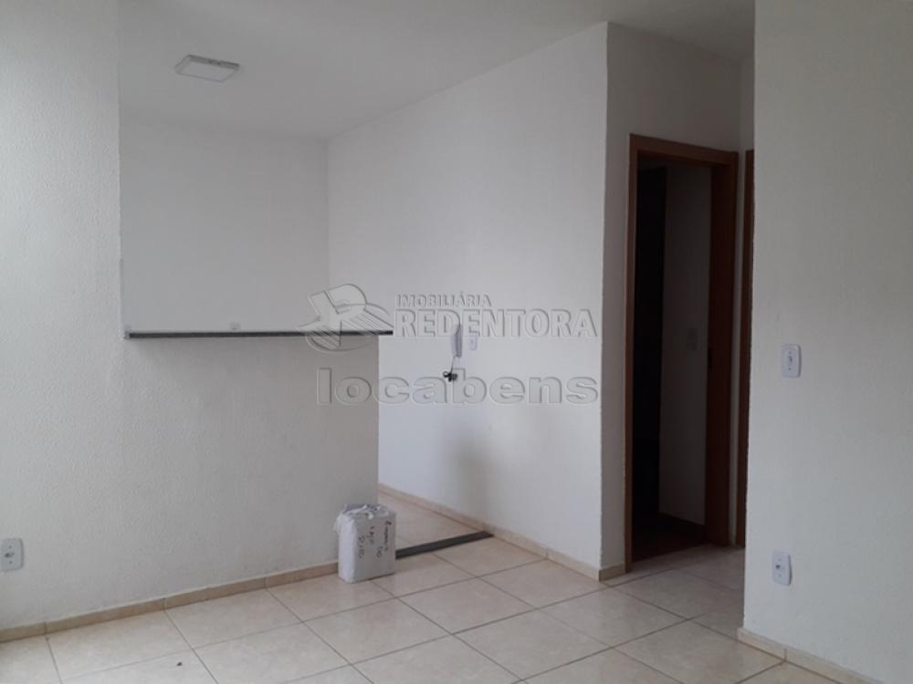 Alugar Apartamento / Padrão em São José do Rio Preto R$ 550,00 - Foto 3