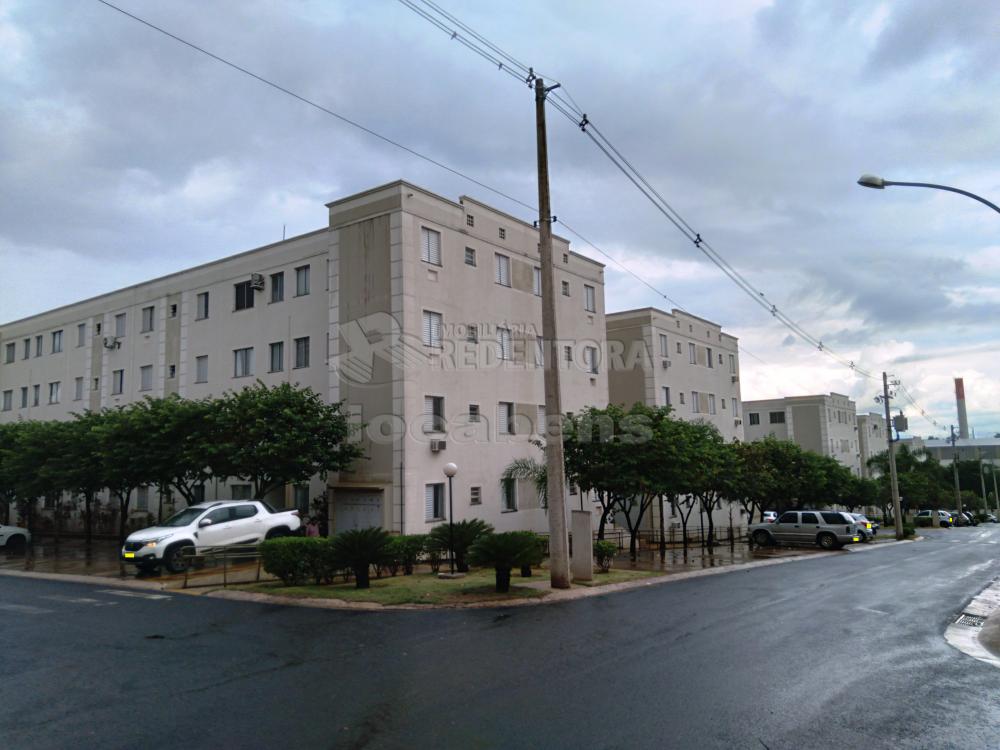 Alugar Apartamento / Padrão em São José do Rio Preto apenas R$ 800,00 - Foto 2