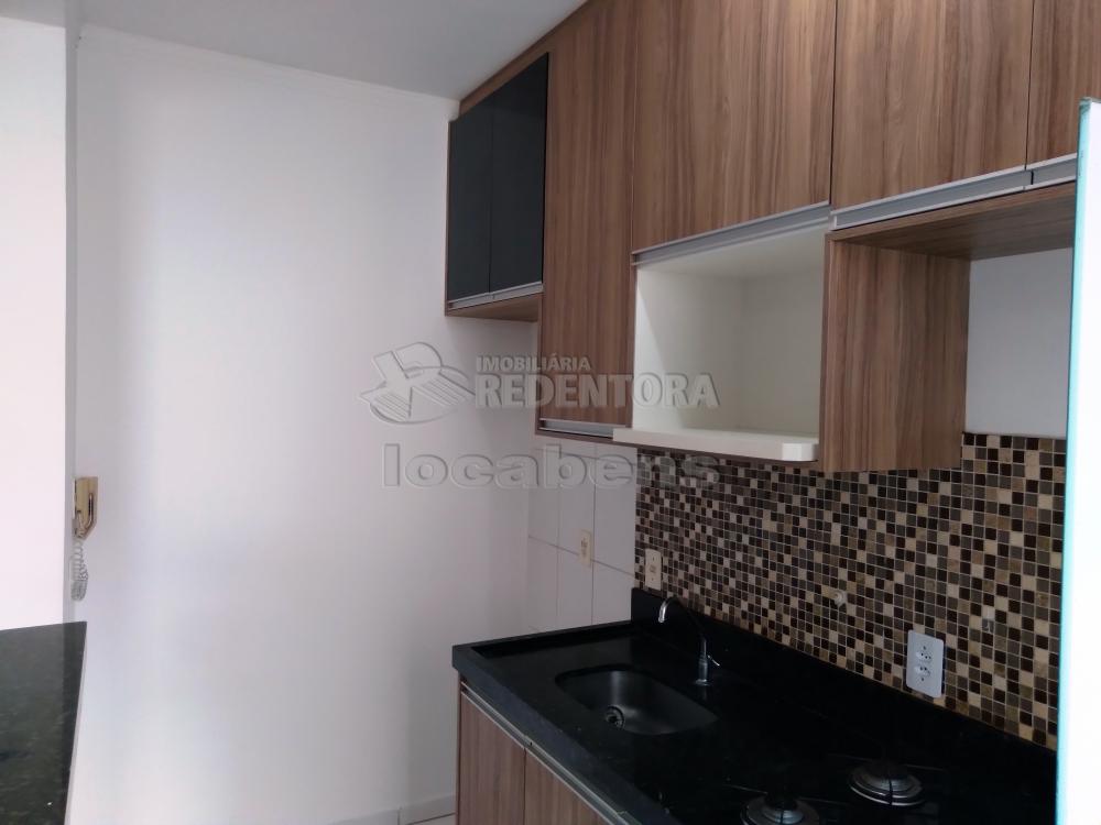 Alugar Apartamento / Padrão em São José do Rio Preto R$ 800,00 - Foto 13