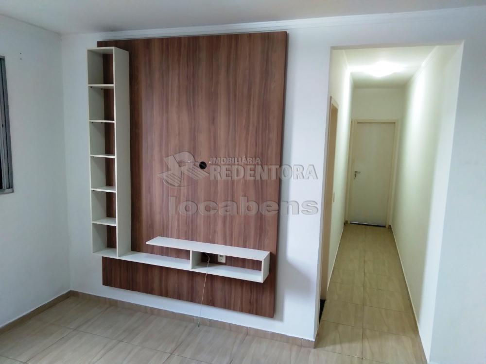 Alugar Apartamento / Padrão em São José do Rio Preto apenas R$ 800,00 - Foto 14