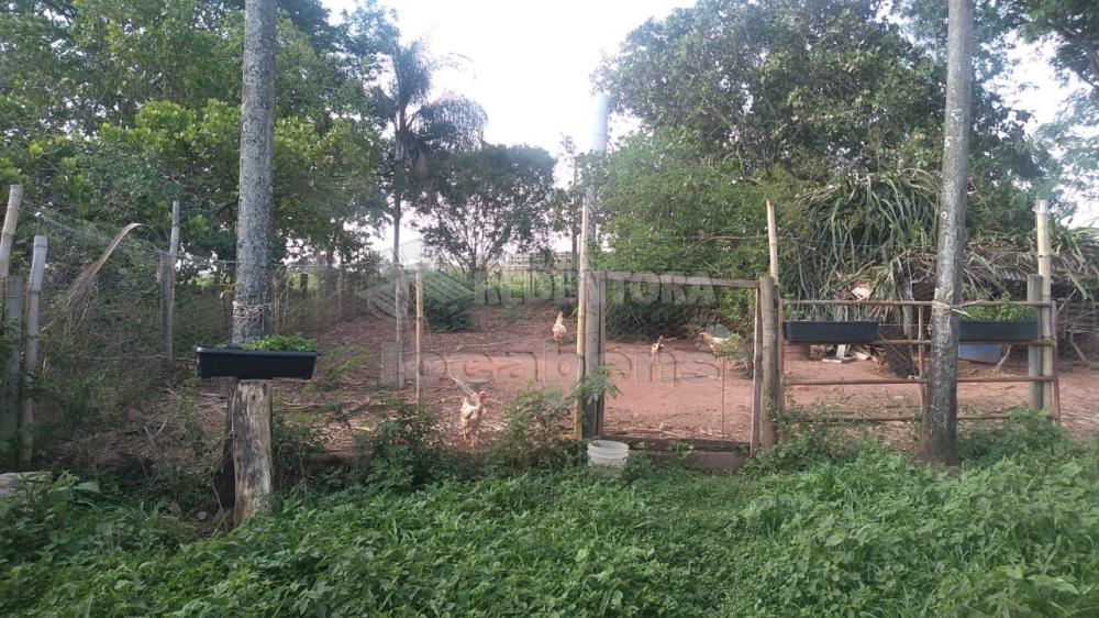 Comprar Rural / Chácara em São José do Rio Preto R$ 1.600.000,00 - Foto 11