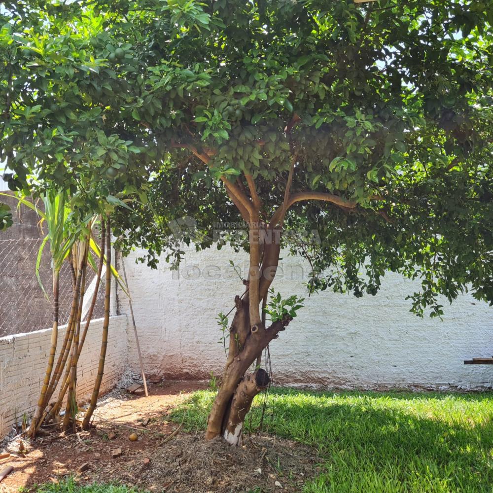 Comprar Rural / Chácara em São José do Rio Preto R$ 4.000.000,00 - Foto 38