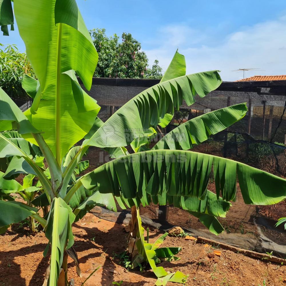 Comprar Rural / Chácara em São José do Rio Preto R$ 4.000.000,00 - Foto 47