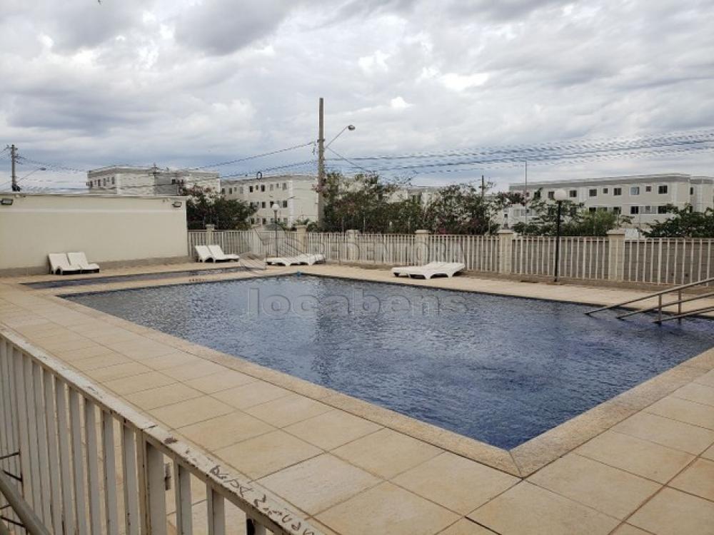 Comprar Apartamento / Padrão em São José do Rio Preto R$ 139.000,00 - Foto 1