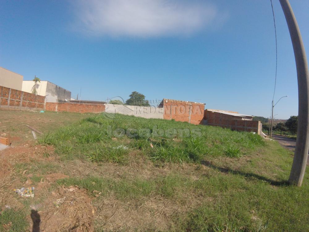 Comprar Terreno / Padrão em São José do Rio Preto R$ 127.500,00 - Foto 3