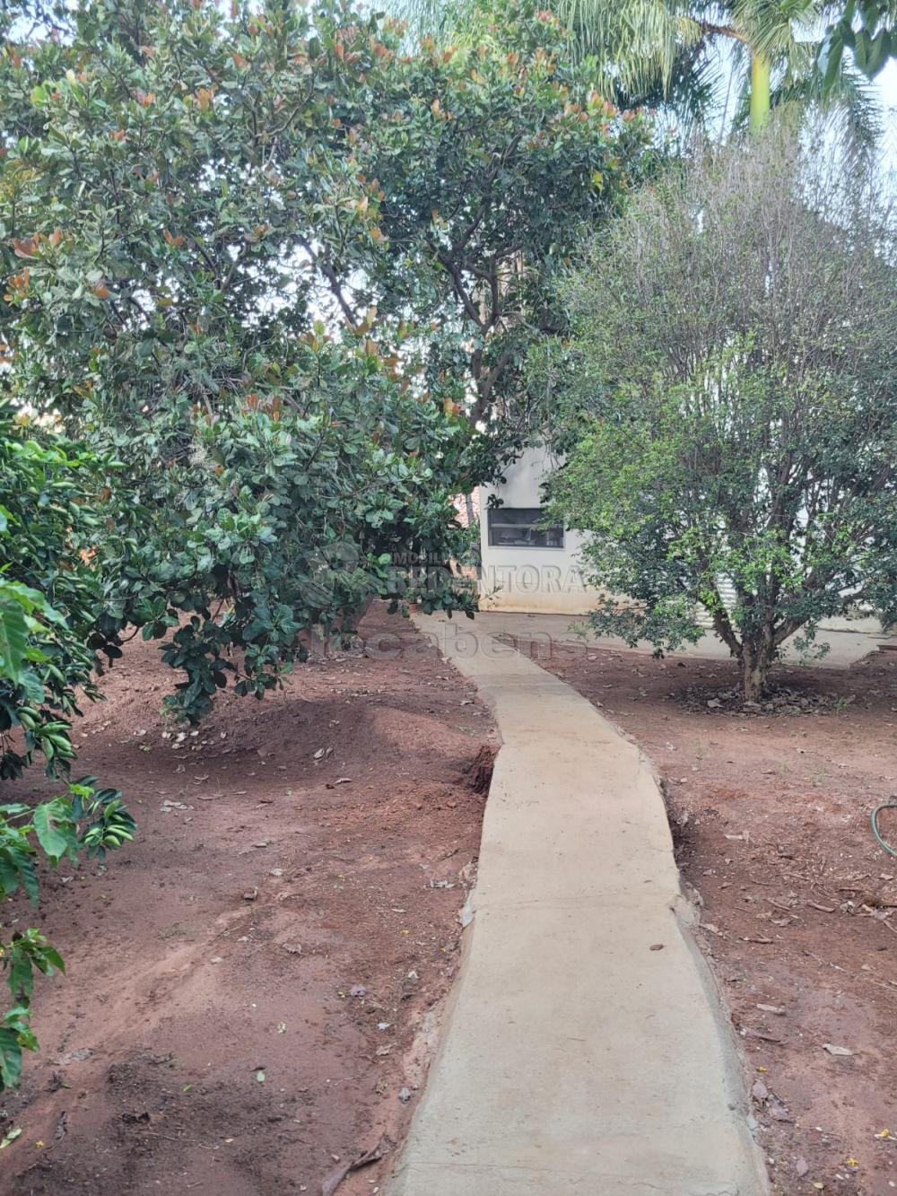Chácara à venda com 3 quartos, 48000m² - Foto 4