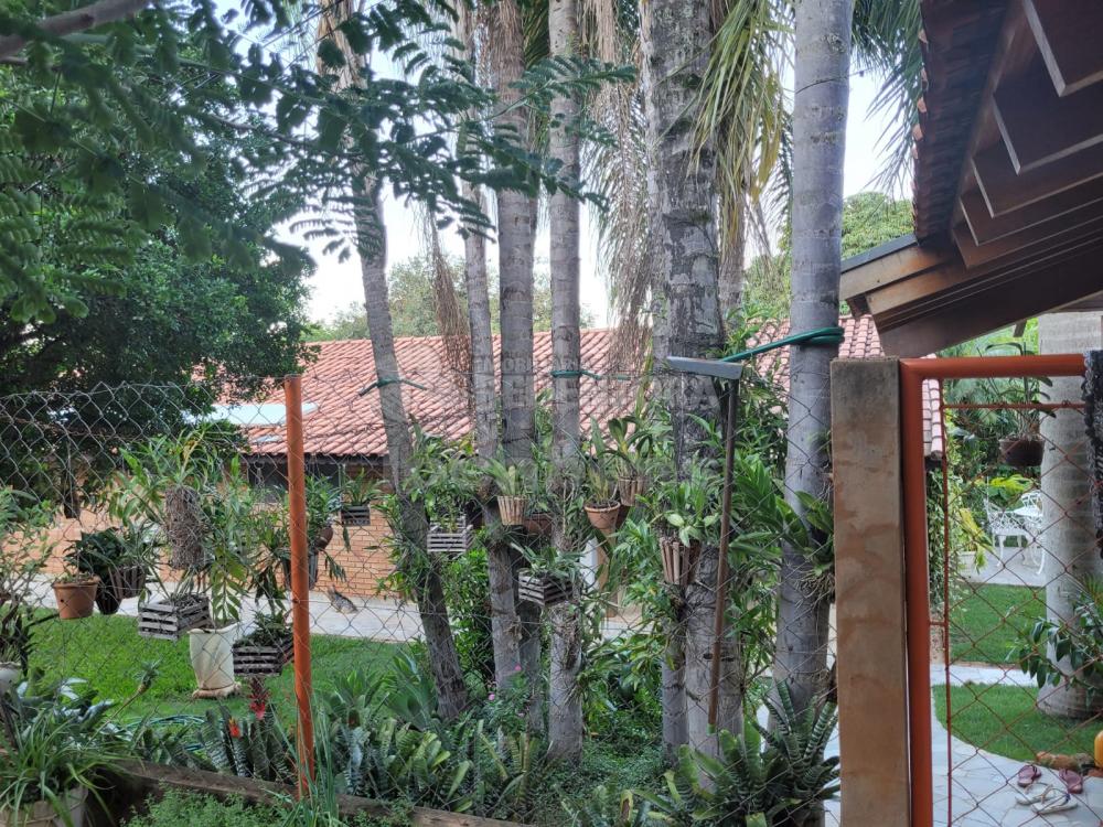 Chácara à venda com 3 quartos, 48000m² - Foto 9