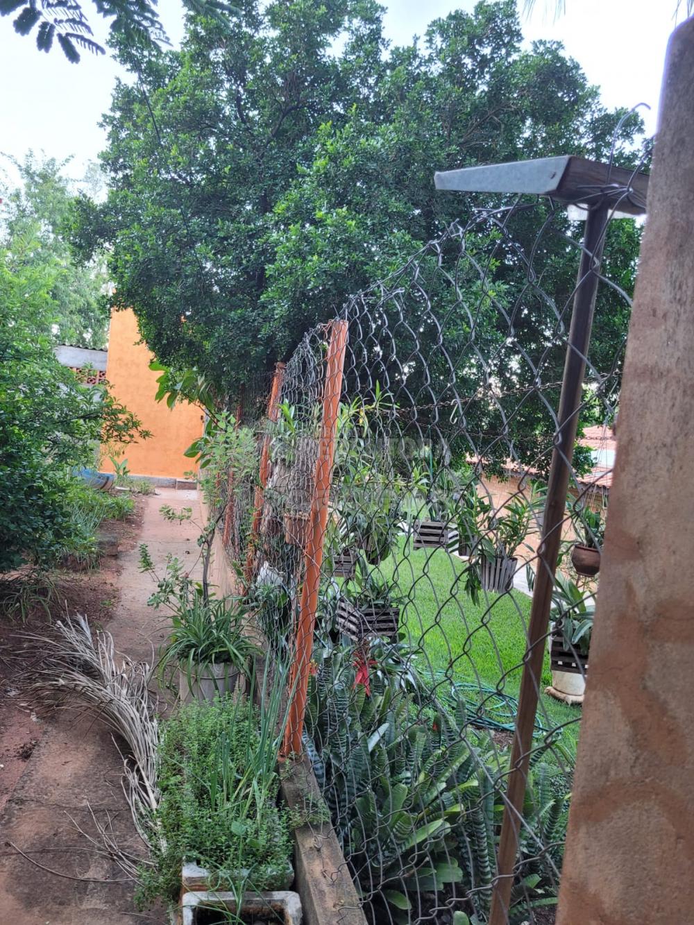 Chácara à venda com 3 quartos, 48000m² - Foto 11