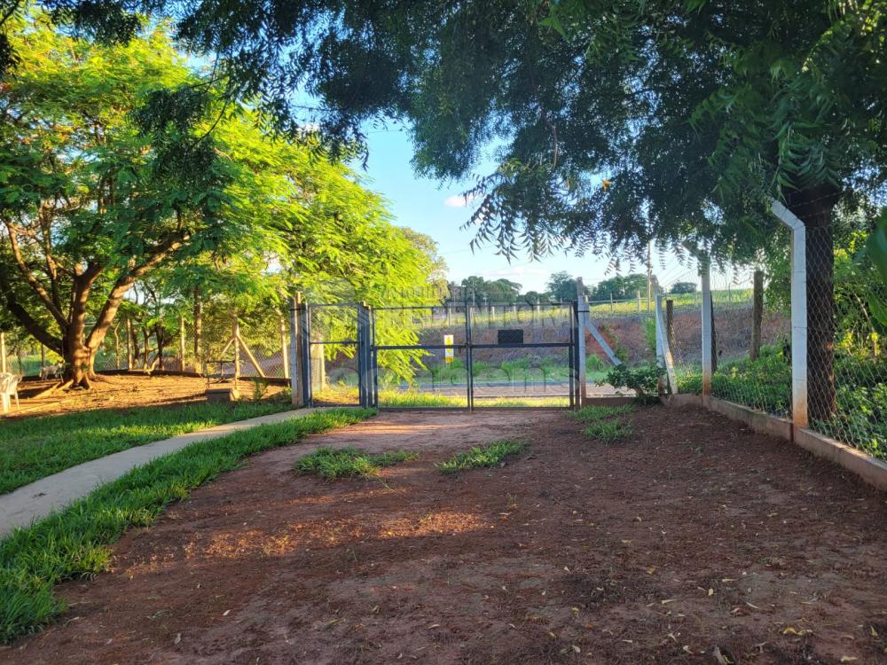 Chácara à venda com 3 quartos, 48000m² - Foto 16