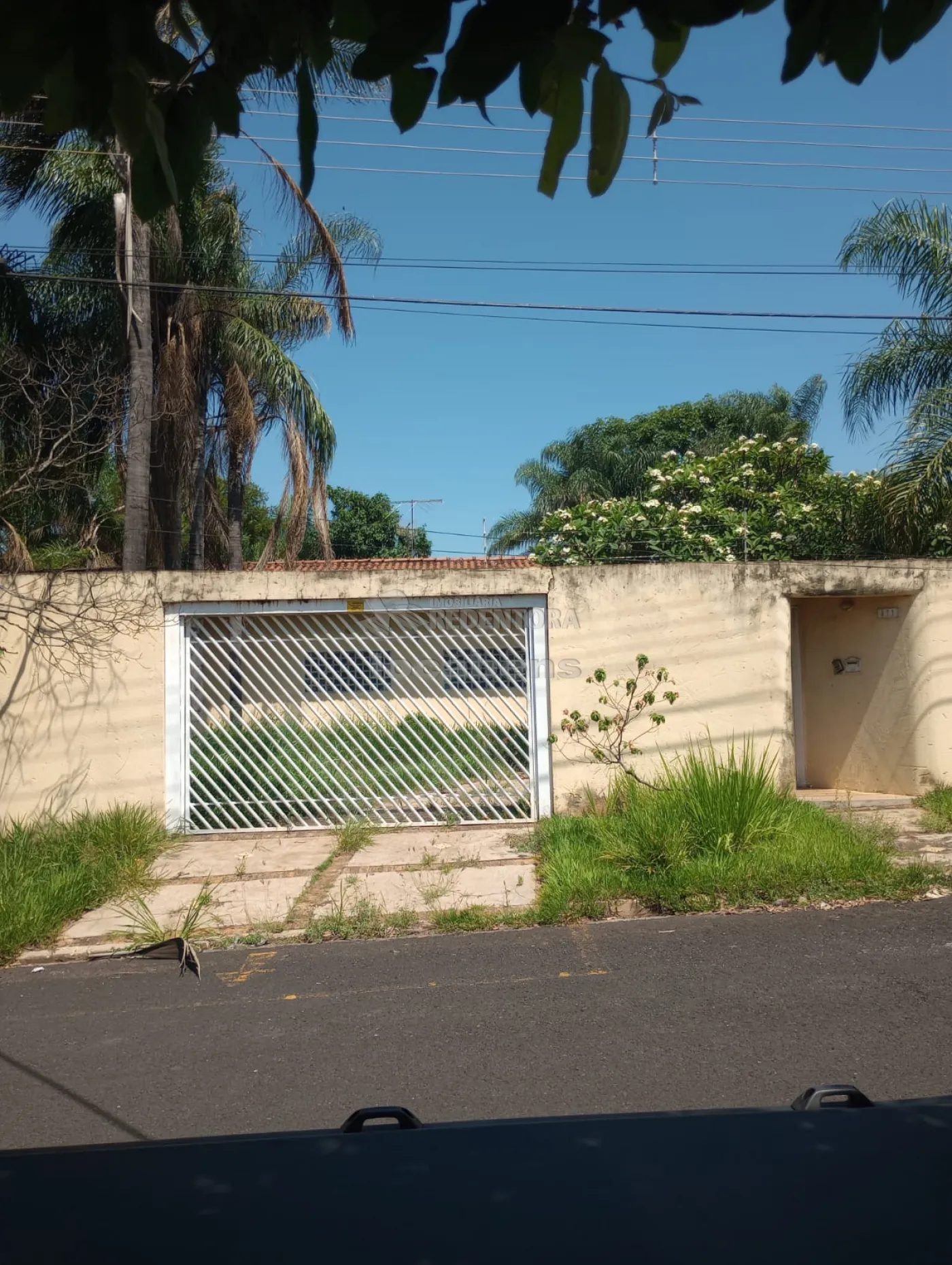 Alugar Casa / Padrão em São José do Rio Preto R$ 2.900,00 - Foto 49