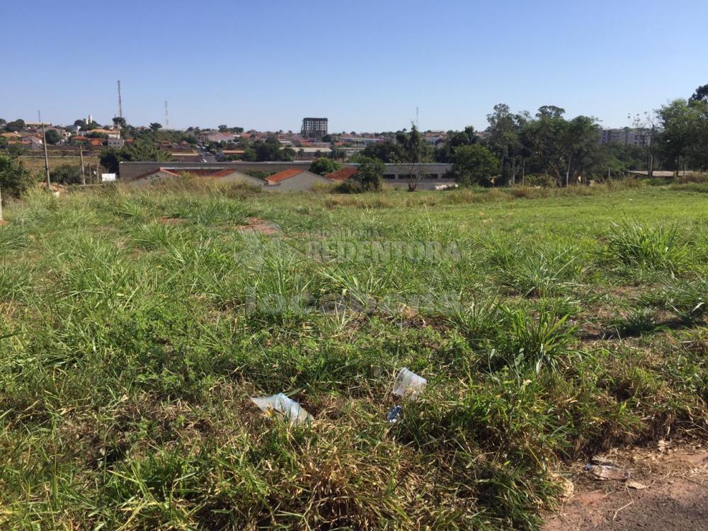 Comprar Terreno / Padrão em Bady Bassitt apenas R$ 73.000,00 - Foto 1