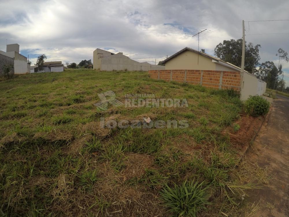 Comprar Terreno / Padrão em Bady Bassitt R$ 65.000,00 - Foto 3