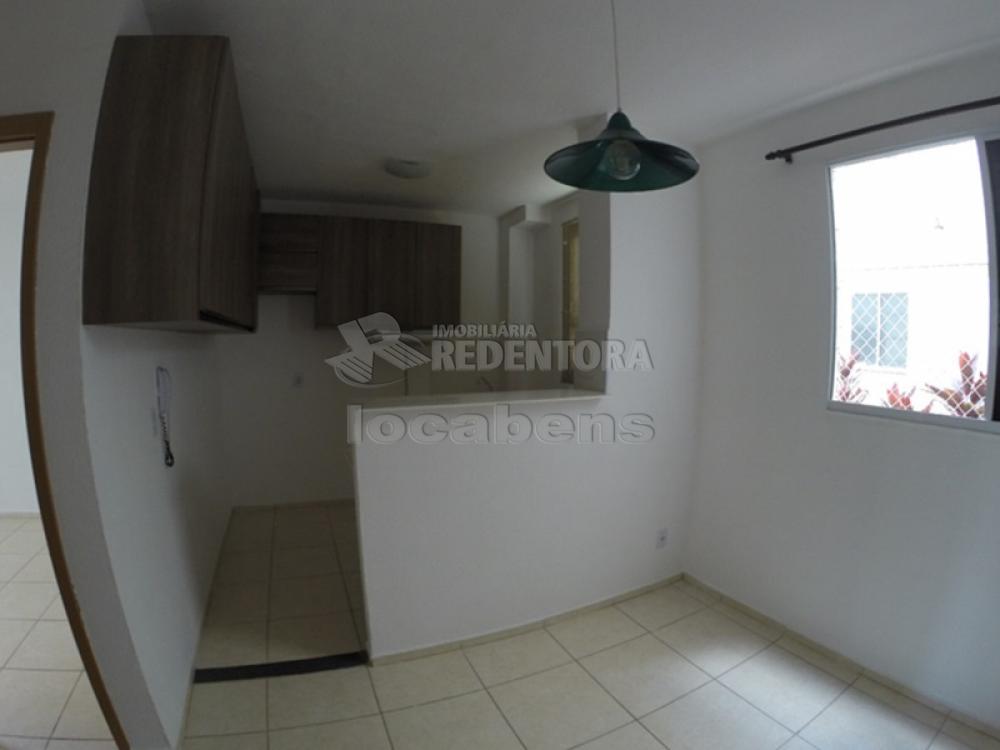 Alugar Apartamento / Padrão em São José do Rio Preto R$ 750,00 - Foto 3