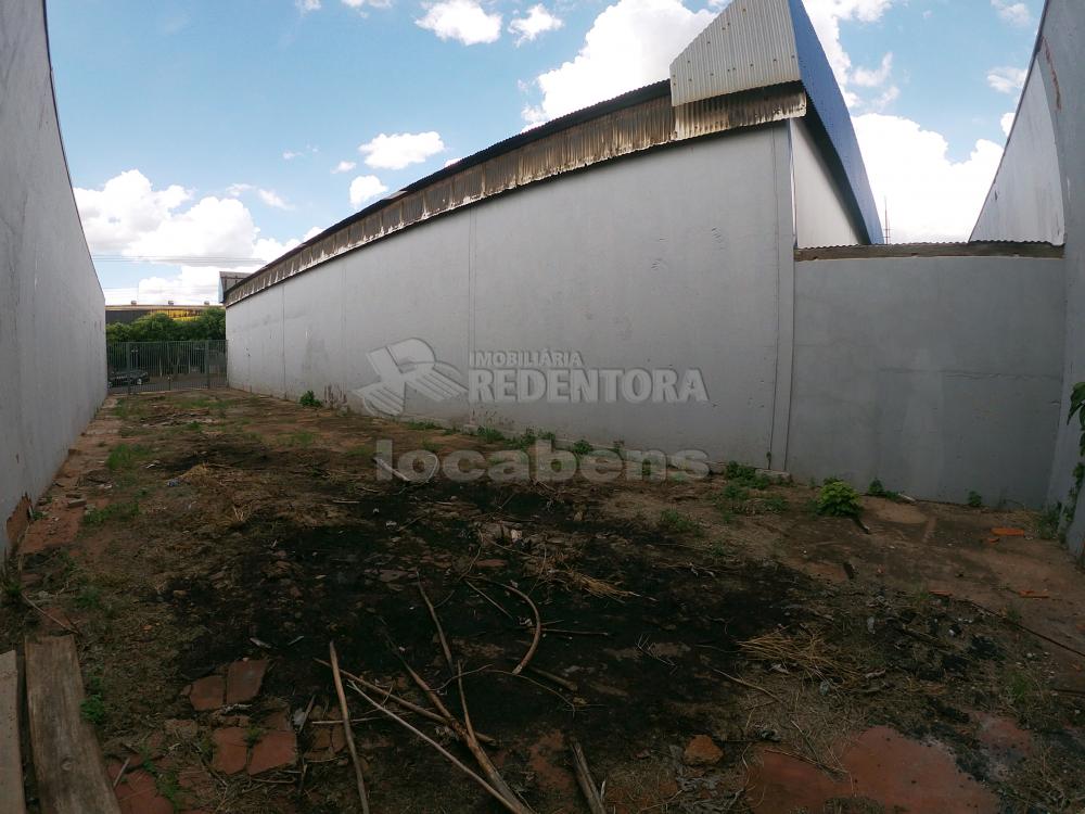 Alugar Terreno / Padrão em São José do Rio Preto R$ 300,00 - Foto 4