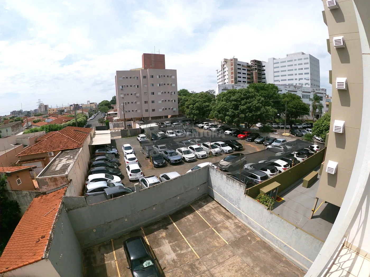 Alugar Apartamento / Padrão em São José do Rio Preto R$ 800,00 - Foto 4