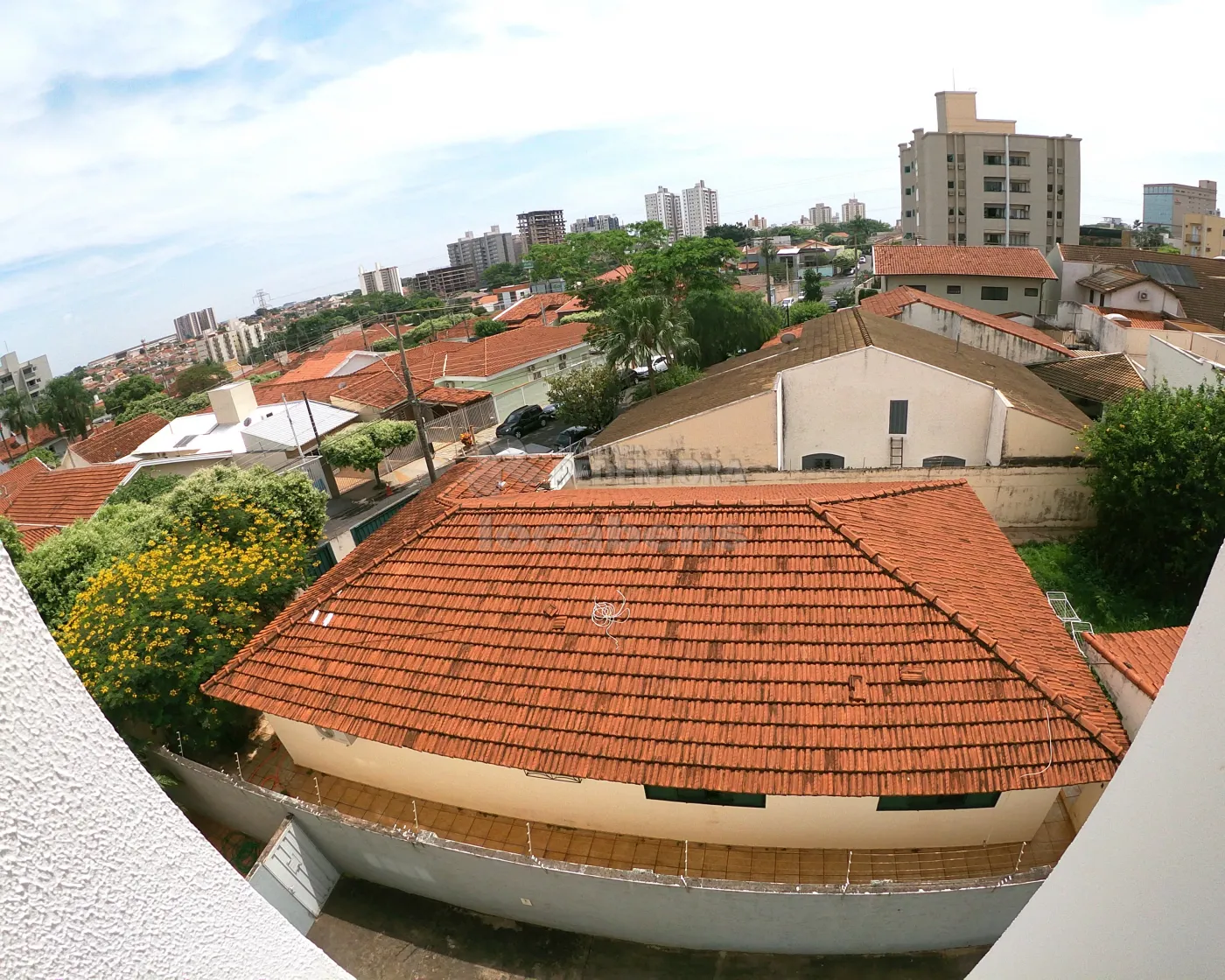 Alugar Apartamento / Padrão em São José do Rio Preto apenas R$ 800,00 - Foto 5