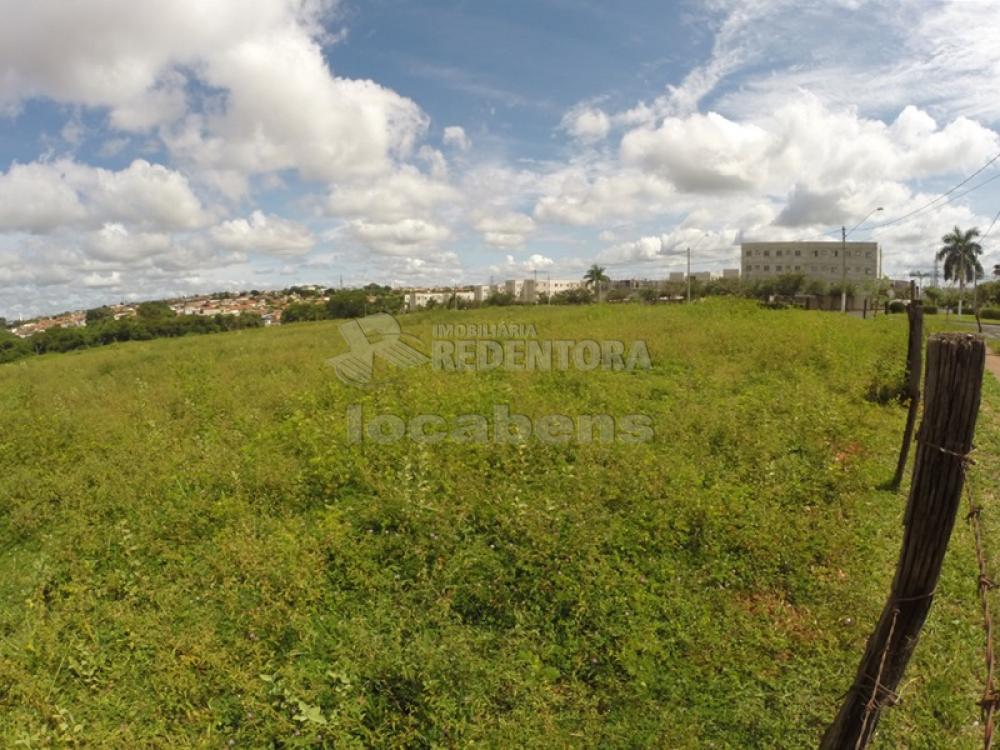 Comprar Terreno / Área em São José do Rio Preto R$ 7.607.000,00 - Foto 3