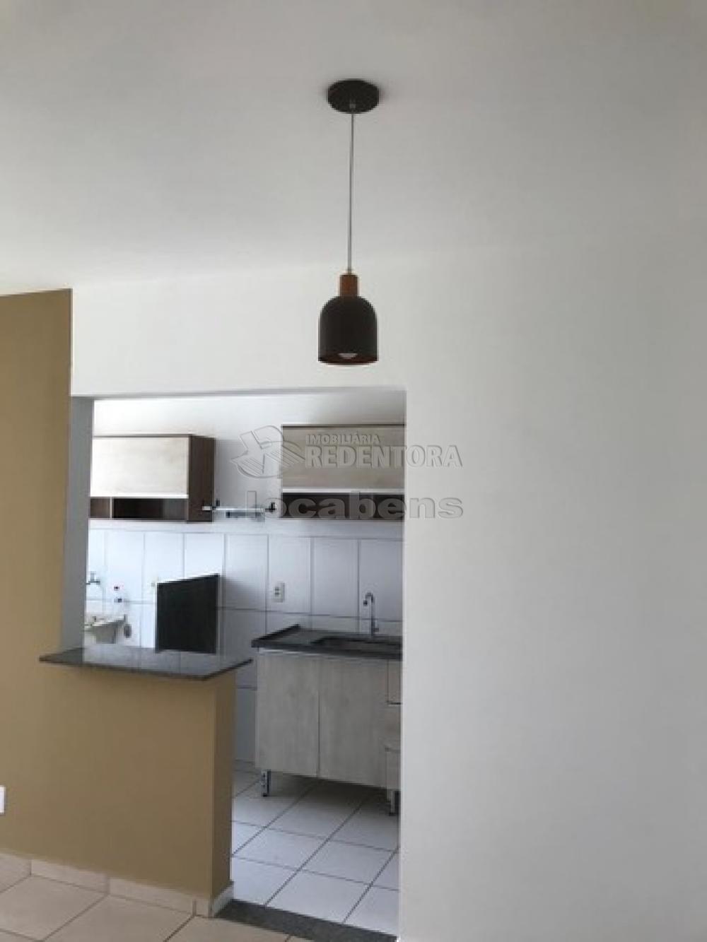 Alugar Apartamento / Padrão em São José do Rio Preto R$ 800,00 - Foto 1