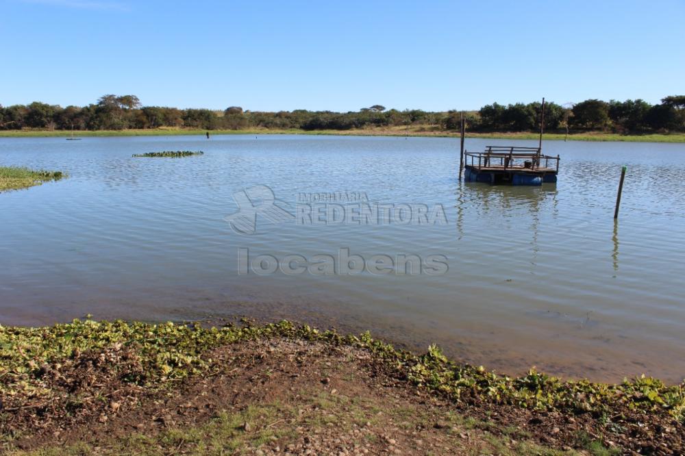 Comprar Rural / Chácara em Adolfo R$ 380.000,00 - Foto 3