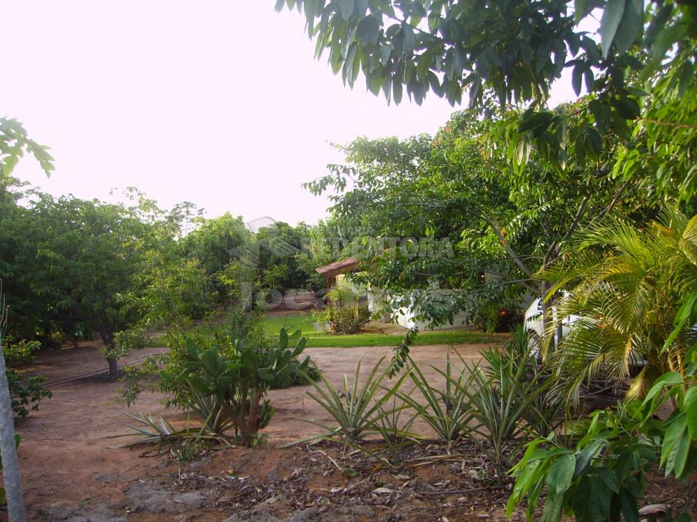 Comprar Rural / Chácara em Adolfo R$ 380.000,00 - Foto 5