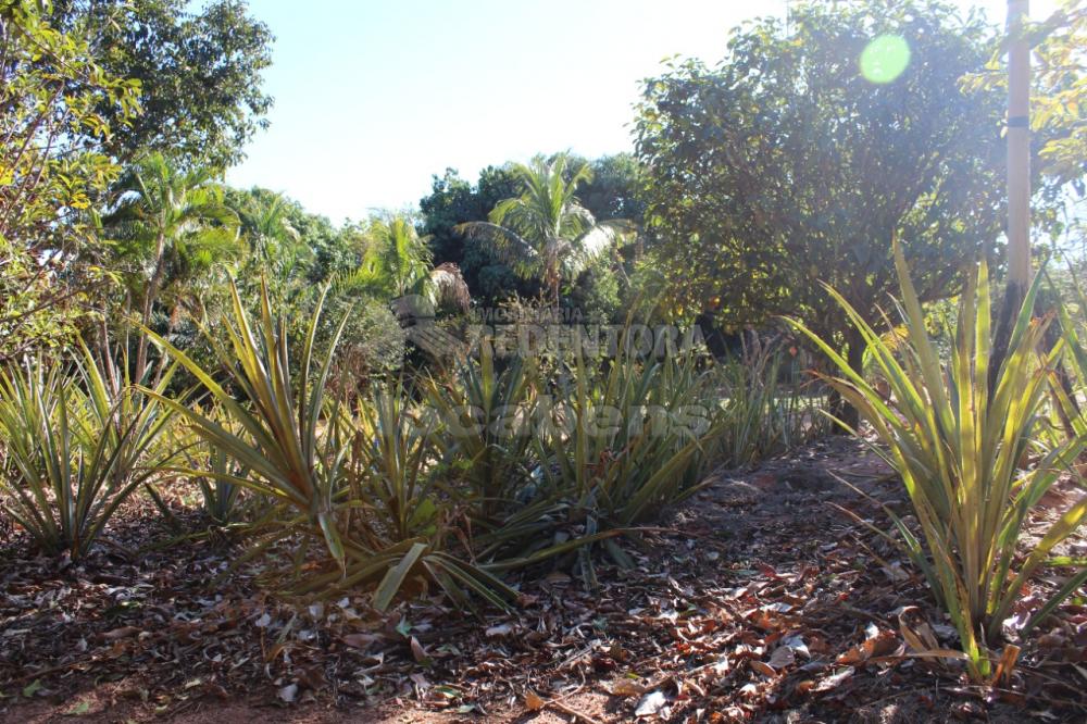 Comprar Rural / Chácara em Adolfo R$ 380.000,00 - Foto 17