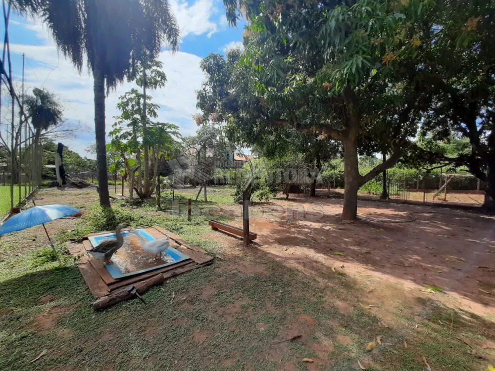 Comprar Rural / Chácara em São José do Rio Preto R$ 1.400.000,00 - Foto 36