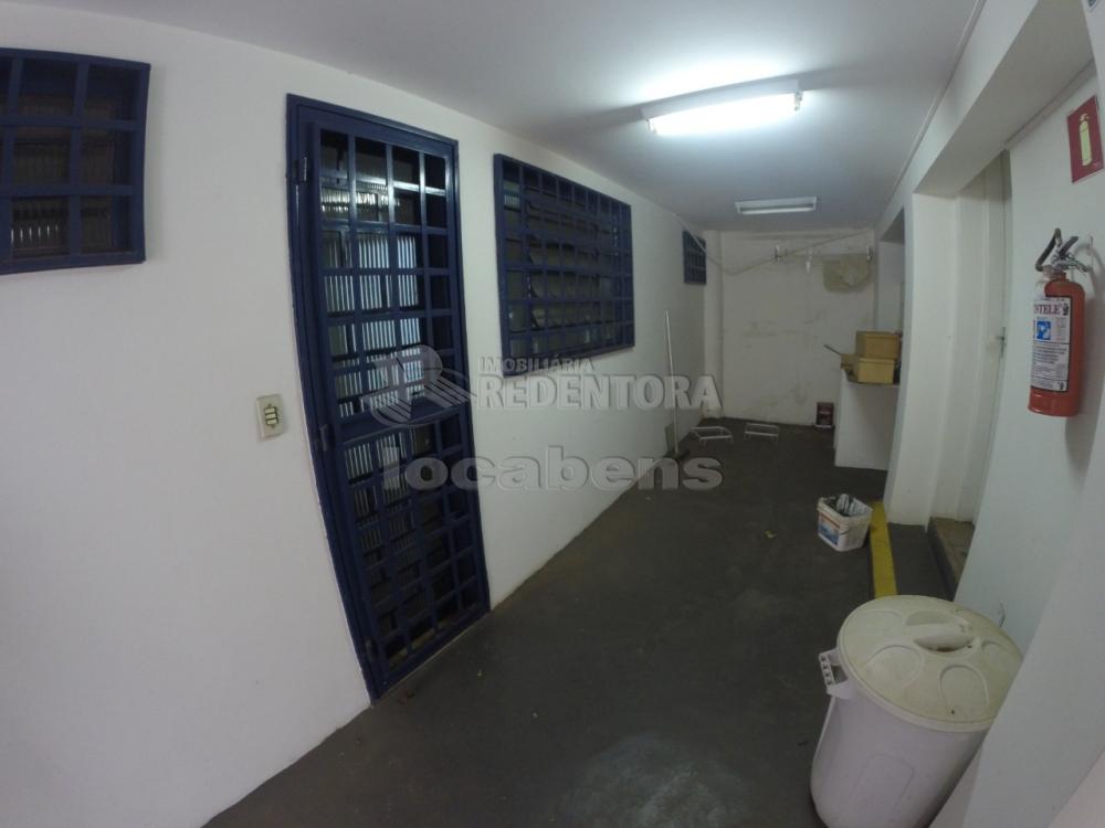 Alugar Comercial / Casa Comercial em São José do Rio Preto R$ 8.000,00 - Foto 13