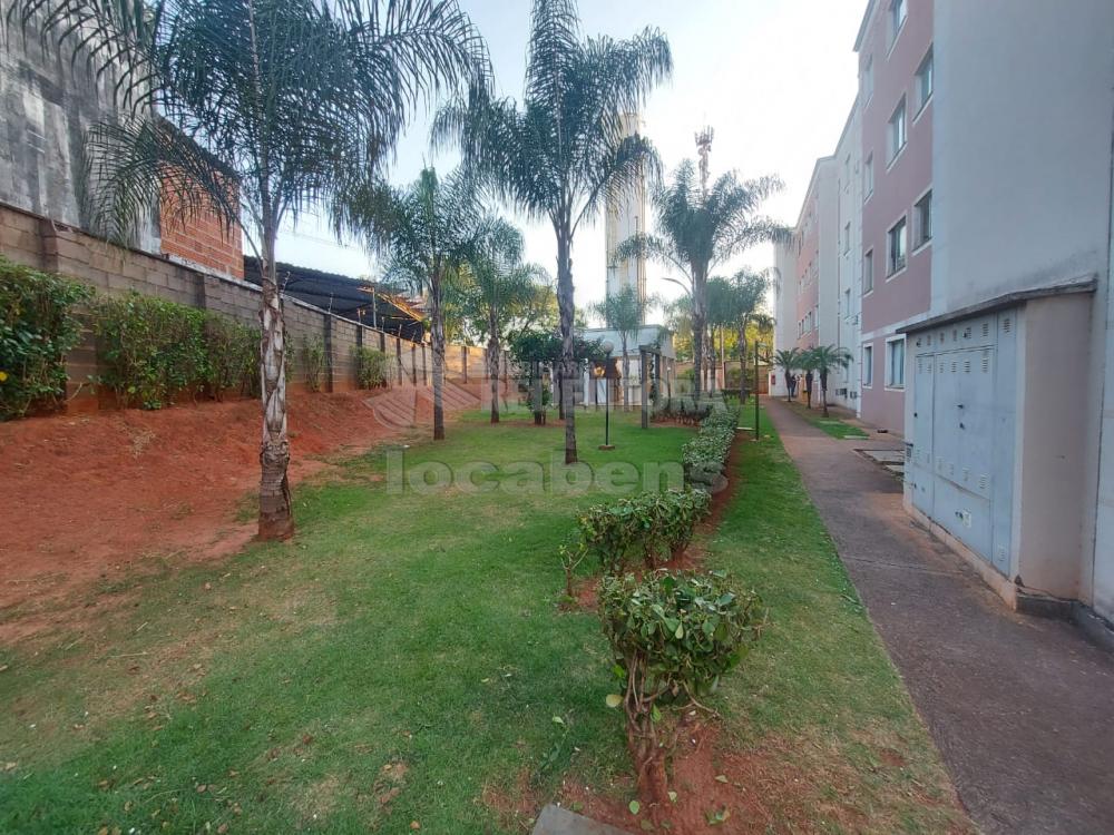 Alugar Apartamento / Padrão em São José do Rio Preto apenas R$ 800,00 - Foto 18