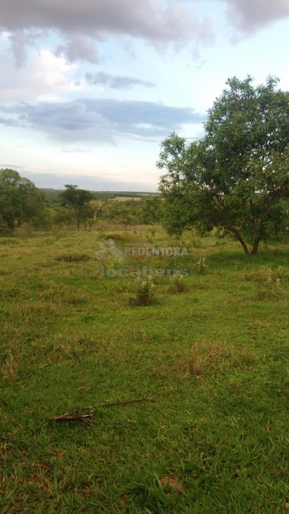 Comprar Rural / Sítio em São José do Rio Preto R$ 1.300.000,00 - Foto 3